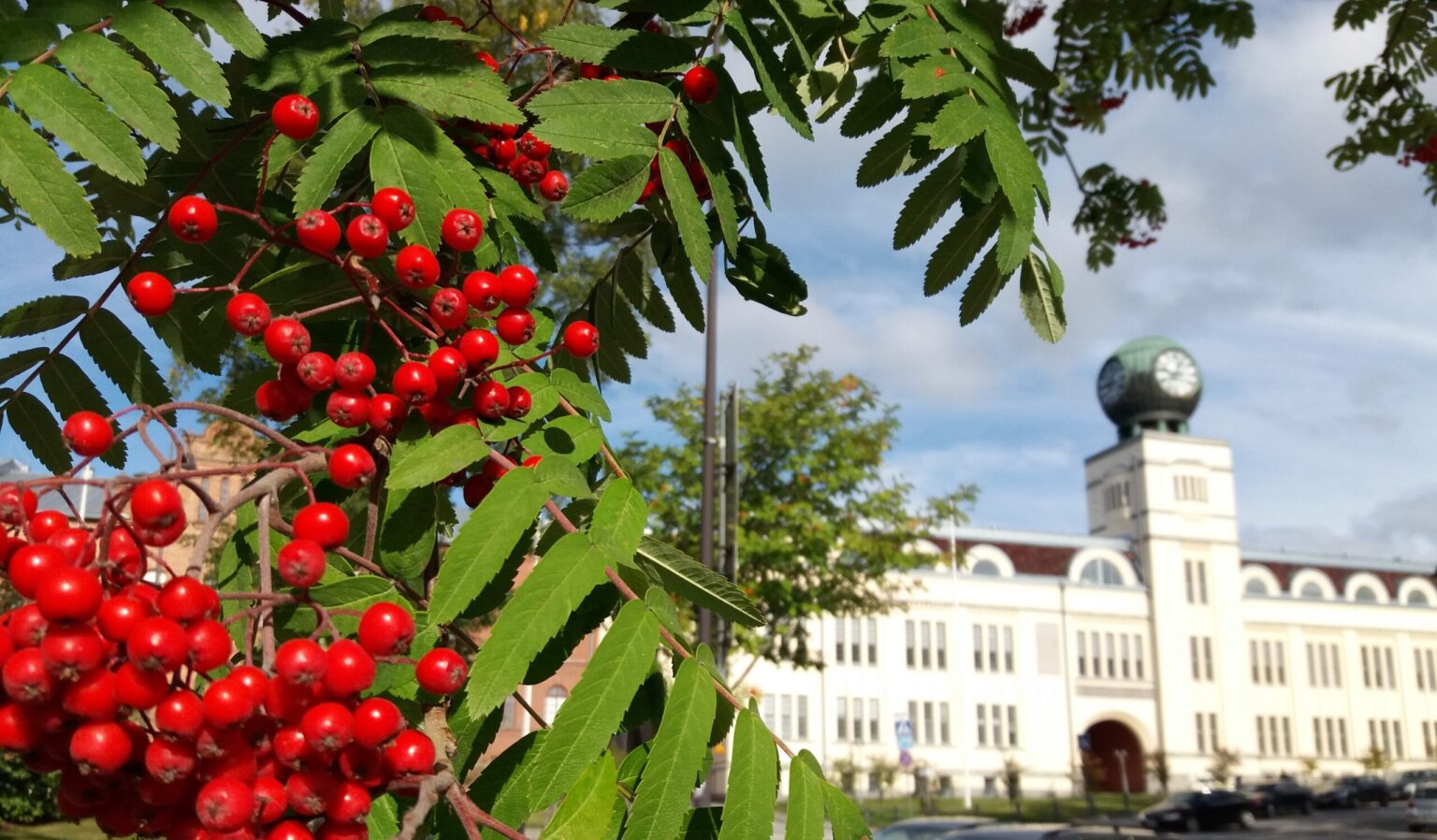 Utlysning Staden Jakobstads verksamhetsbidrag Jakobstad