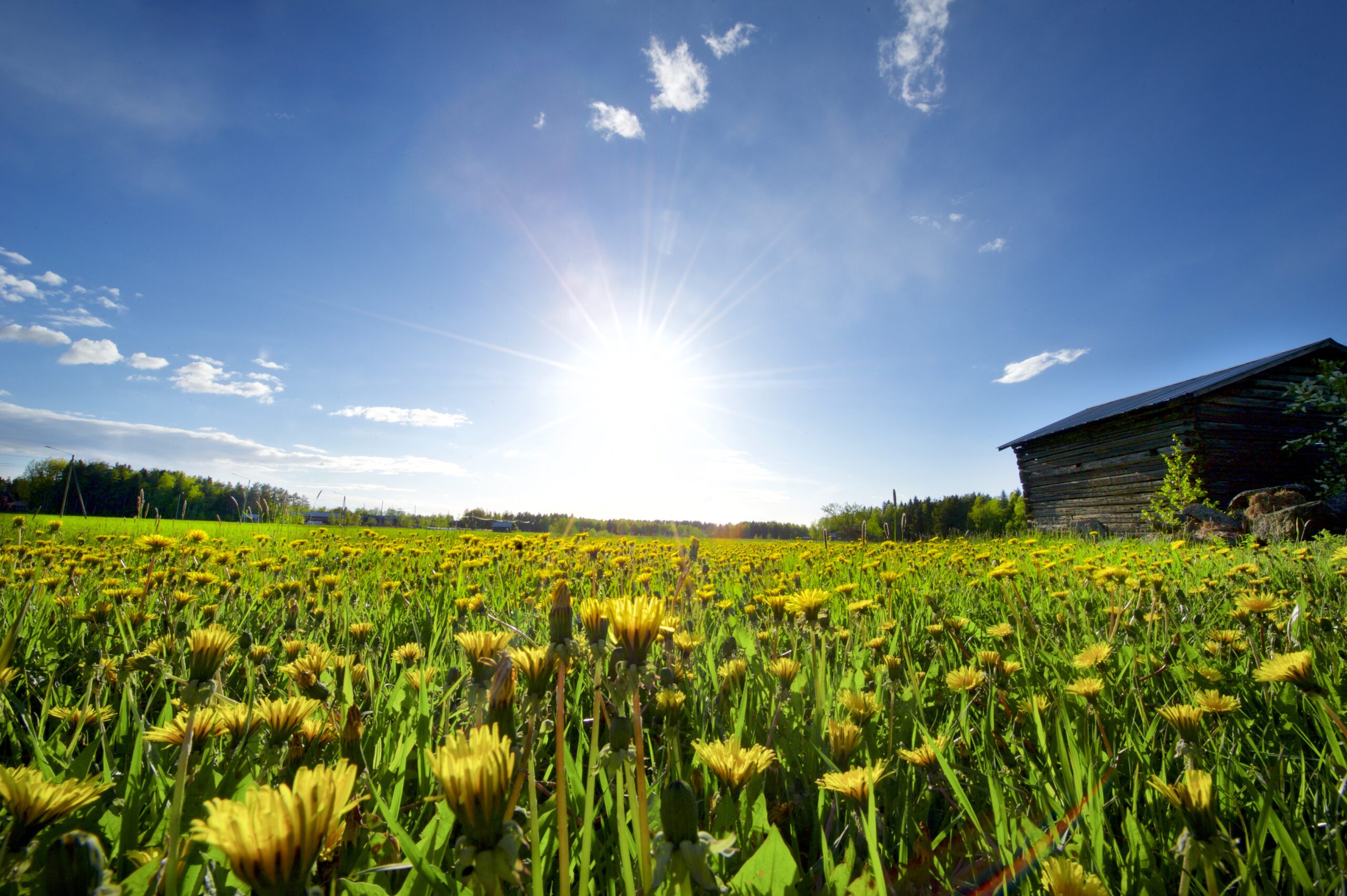 Stadens sommarjobb och sommarjobbssedlar 2025 Jakobstad